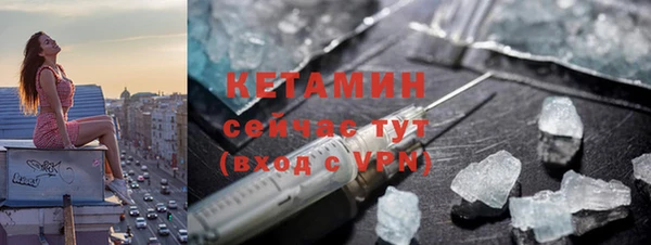 сатива Кукмор