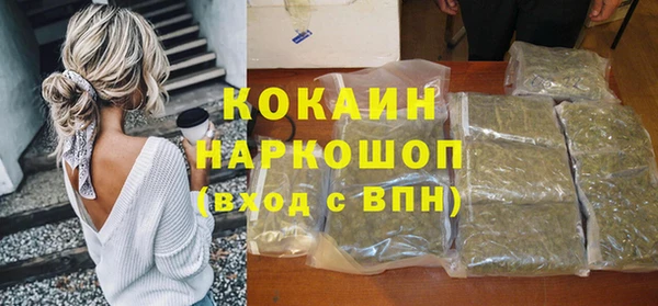 сатива Кукмор