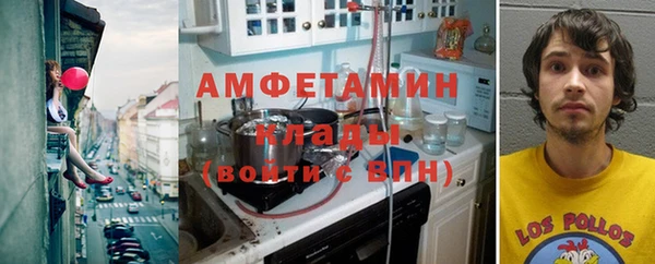 сатива Кукмор