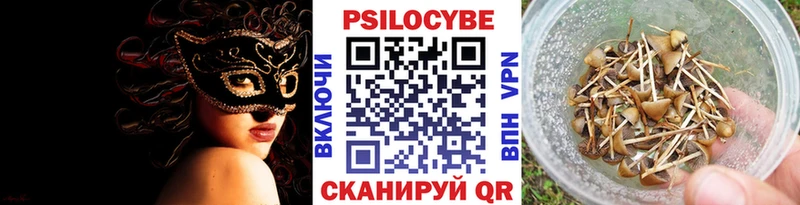 Псилоцибиновые грибы Psilocybine cubensis  Купить где  Стерлитамак 